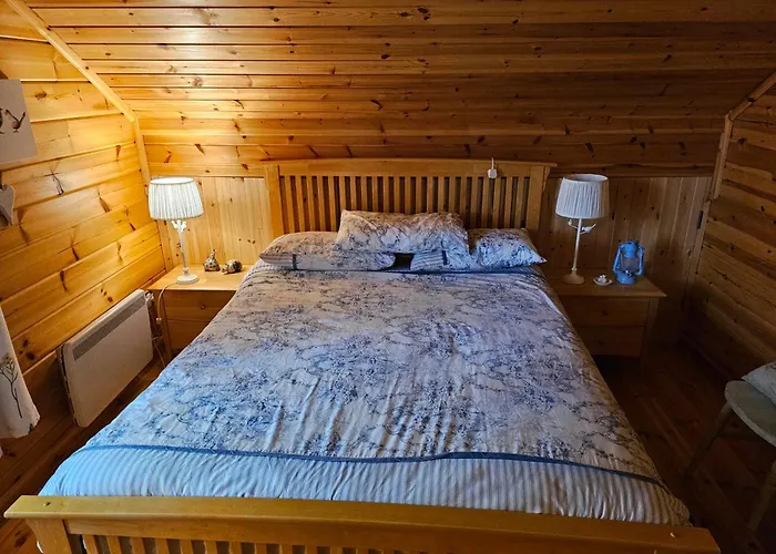 Forest Lodge Log Cabin - Ireland